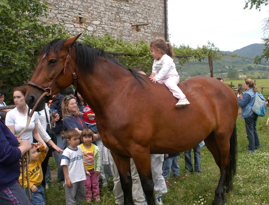 Gite-scolastiche